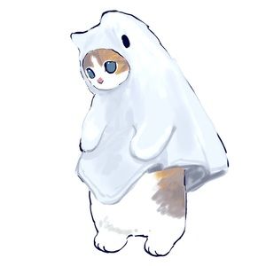 Meet your Posher, Ariana